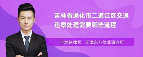 吉林省通化市二道江区交通违章处理需要哪些流程