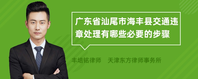 广东省汕尾市海丰县交通违章处理有哪些必要的步骤