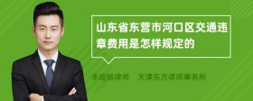 山东省东营市河口区交通违章费用是怎样规定的