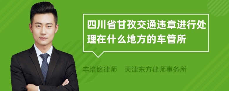 四川省甘孜交通违章进行处理在什么地方的车管所