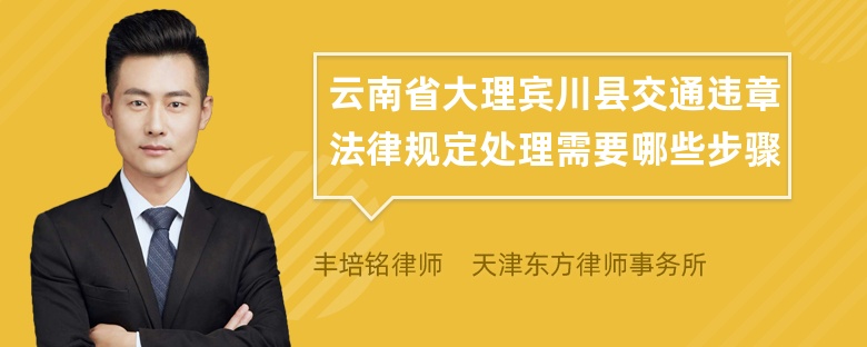 云南省大理宾川县交通违章法律规定处理需要哪些步骤