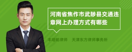 河南省焦作市武陟县交通违章网上办理方式有哪些