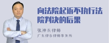 向法院起诉不执行法院判决的后果