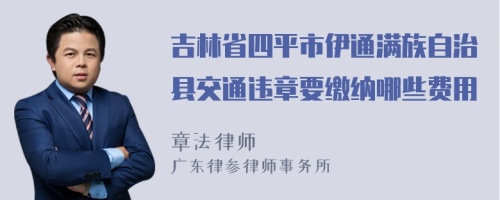 吉林省四平市伊通满族自治县交通违章要缴纳哪些费用