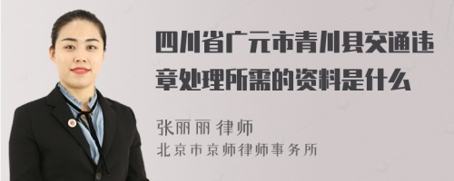 四川省广元市青川县交通违章处理所需的资料是什么