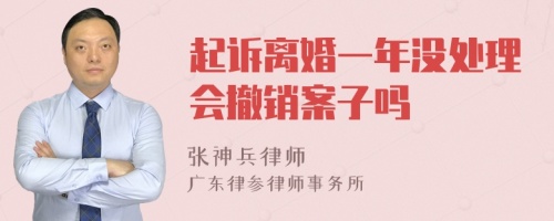 起诉离婚一年没处理会撤销案子吗