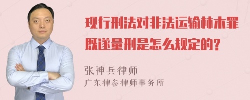 现行刑法对非法运输林木罪既遂量刑是怎么规定的?