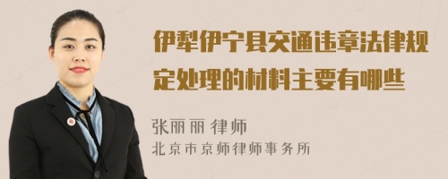 伊犁伊宁县交通违章法律规定处理的材料主要有哪些