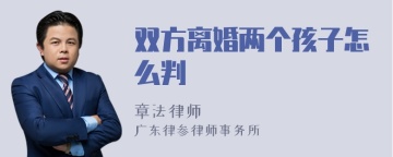 双方离婚两个孩子怎么判