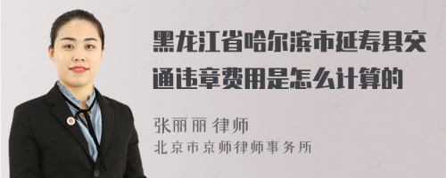 黑龙江省哈尔滨市延寿县交通违章费用是怎么计算的