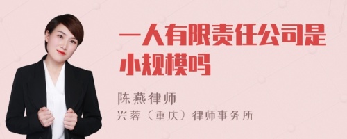 一人有限责任公司是小规模吗