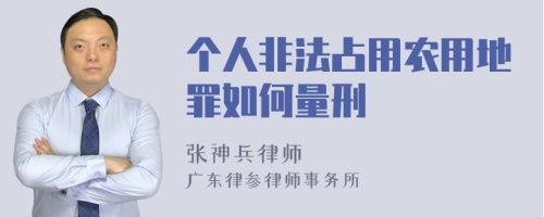 个人非法占用农用地罪如何量刑