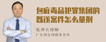 包庇毒品犯罪集团的既遂案件怎么量刑