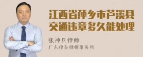 江西省萍乡市芦溪县交通违章多久能处理