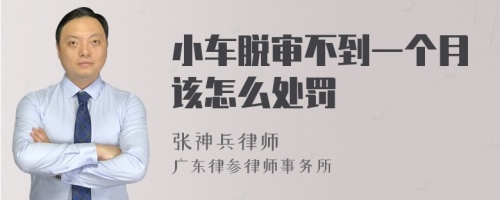 小车脱审不到一个月该怎么处罚