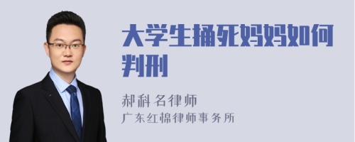 大学生捅死妈妈如何判刑