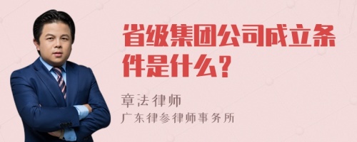 省级集团公司成立条件是什么？