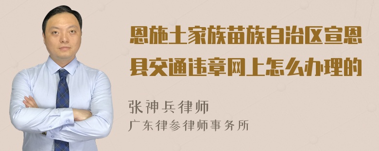 恩施土家族苗族自治区宣恩县交通违章网上怎么办理的