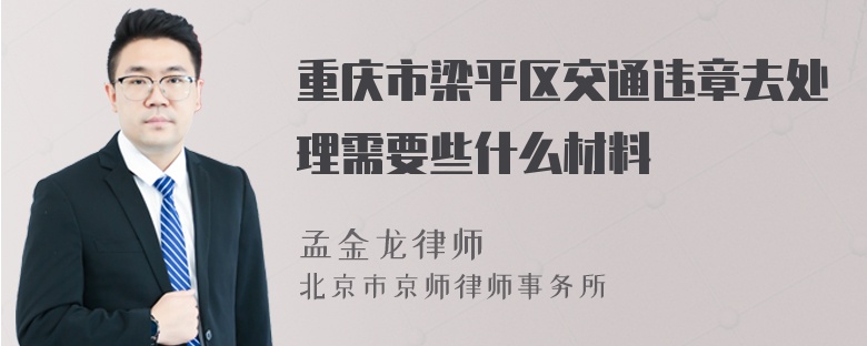 重庆市梁平区交通违章去处理需要些什么材料