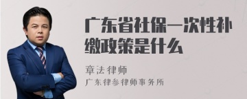 广东省社保一次性补缴政策是什么