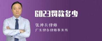 6023罚款多少