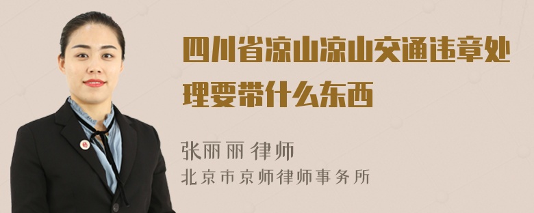 四川省凉山凉山交通违章处理要带什么东西