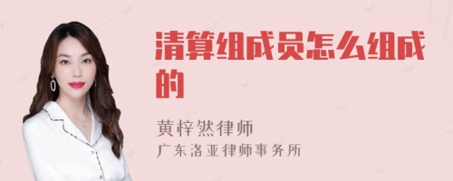 清算组成员怎么组成的