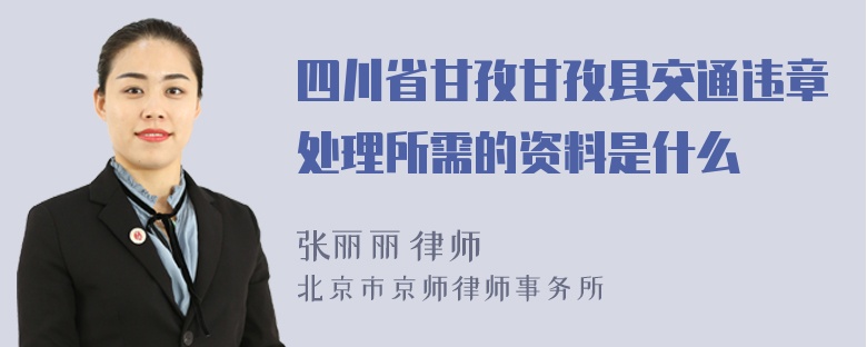 四川省甘孜甘孜县交通违章处理所需的资料是什么