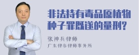 非法持有毒品原植物种子罪既遂的量刑?