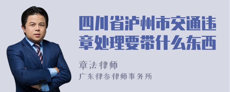 四川省泸州市交通违章处理要带什么东西