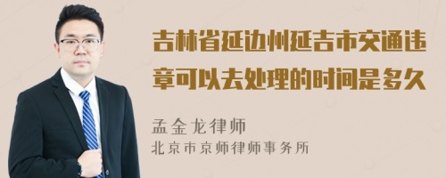 吉林省延边州延吉市交通违章可以去处理的时间是多久