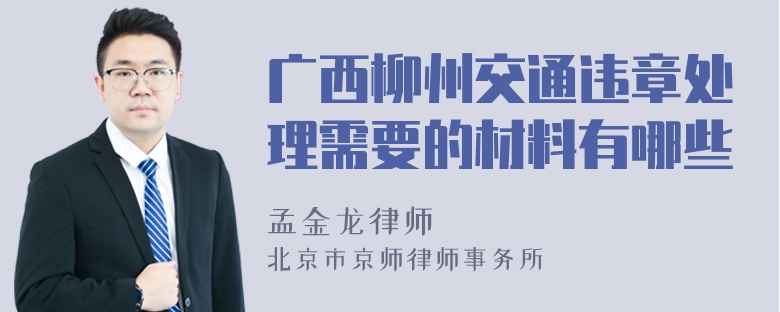 广西柳州交通违章处理需要的材料有哪些