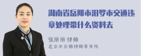 湖南省岳阳市汨罗市交通违章处理带什么资料去