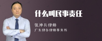 什么叫民事责任