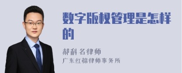 数字版权管理是怎样的