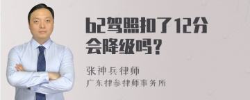 b2驾照扣了12分会降级吗？