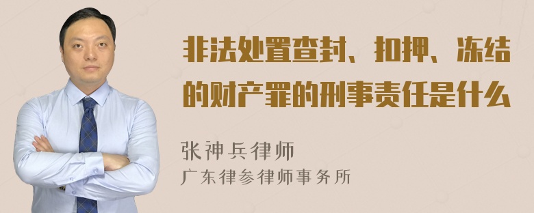 非法处置查封、扣押、冻结的财产罪的刑事责任是什么