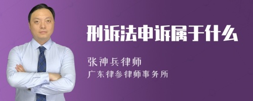 刑诉法申诉属于什么