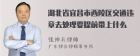 湖北省宜昌市西陵区交通违章去处理要提前带上什么