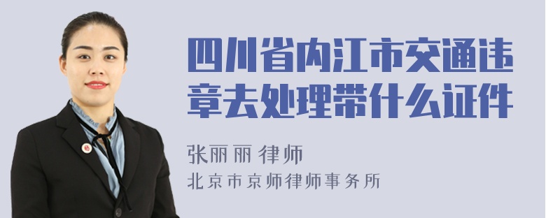 四川省内江市交通违章去处理带什么证件