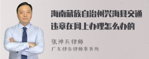 海南藏族自治州兴海县交通违章在网上办理怎么办的