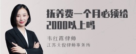 抚养费一个月必须给2000以上吗