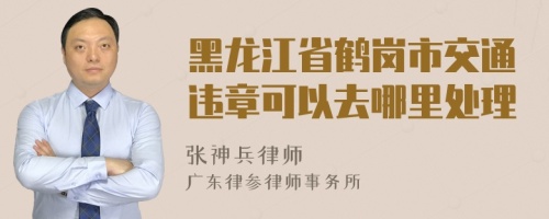 黑龙江省鹤岗市交通违章可以去哪里处理