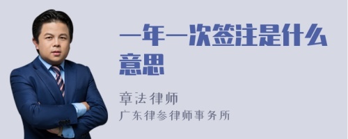 一年一次签注是什么意思