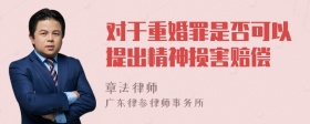 对于重婚罪是否可以提出精神损害赔偿