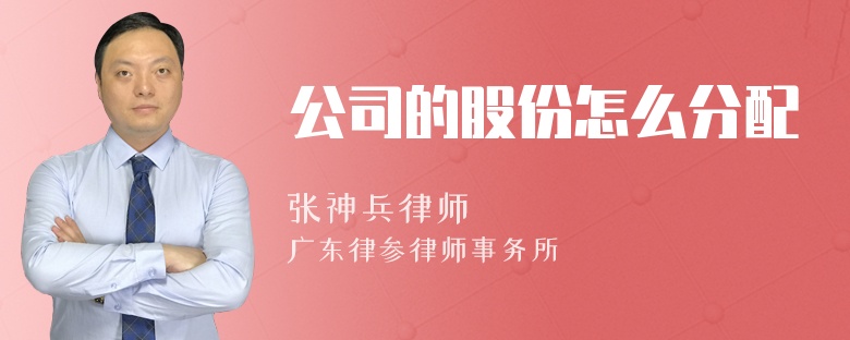 公司的股份怎么分配