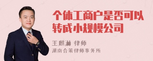 个体工商户是否可以转成小规模公司