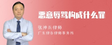 恶意辱骂构成什么罪