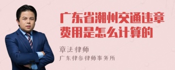 广东省潮州交通违章费用是怎么计算的