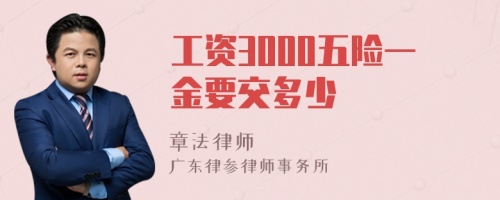 工资3000五险一金要交多少